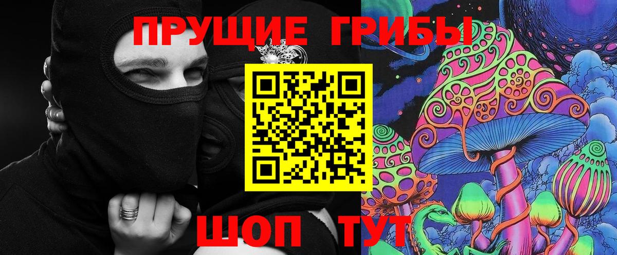 Галлюциногенные грибы Psilocybine cubensis Старая Русса
