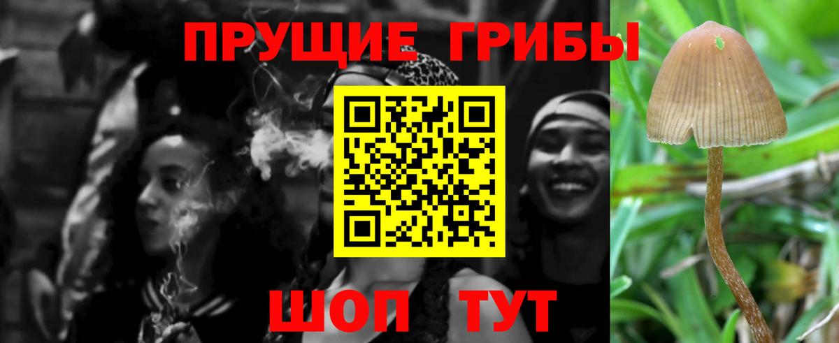 Псилоцибиновые грибы мухоморы  Вход с VPN  Старая Русса  Галлюциногенные грибы ЛСД 